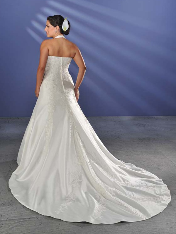 Taffeta V-Neck Halter A-Line Plus Size Wedding Dress