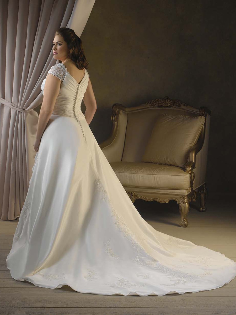 The Gorgeous Taffeta V-Neck A-Line Plus Size Wedding Dress