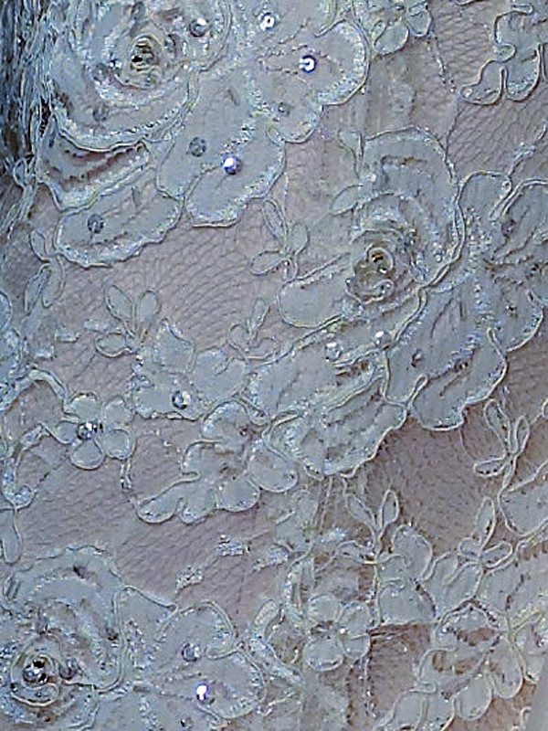 Mermaid Modified Smart Lace Paneled Wedding Dress