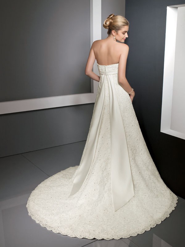 Luxuriöse Lace Paneled A -Line Brautkleid mit Cute Satin Schleife vorne
