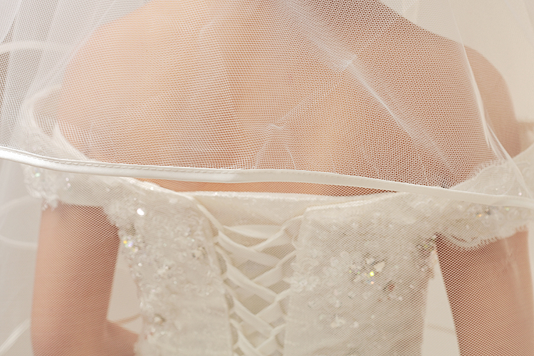 Bridal Veil Tulle elegant mit funkelnden Sterne und Gefrieste