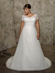 A-Line V-Neck Off-Shoulder Chiffon Plus Size Wedding Dress