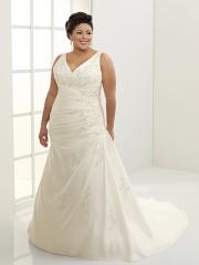 A-Line with Sexy V-Neck Embroidered Plus Size Wedding Dress