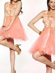 Attractive Embroidered Organza One Shoulder Strap Short Length Homecoming Dress