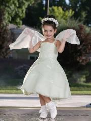 Ball Gown Stain Chiffon White Flower Girl Dress with Embroidered