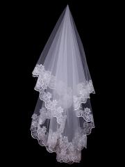 Beautiful White Lace Tulle Veil