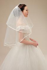 Bridal elegant Tulle Veil with Twinkling Stars and Beadings
