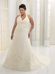 Chic Chiffon V-Neck Hater A-Line Plus Size Wedding Dress