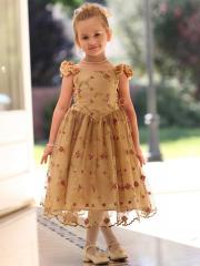 Chiffon Flower Girl Dress with Embroidered