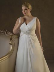 Chiffon V-Neck A-Line Plus Size Wedding Dress