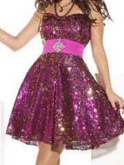 Classical A-Line Purple Tulle and Sequined Short A-Line Pink Satin Sash and Brooch Dress