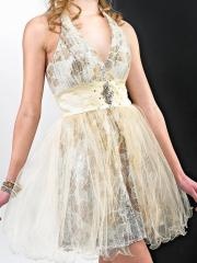 Deep V-Neck Short Sheath Champagne Tulle and Printed Brooch Embellished Homecoming Dress