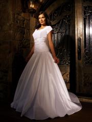 Elegant Ivory Taffeta Gown of Short Sleeves and A-Line Skirt