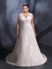 Elegant Lace V-Neck A-Line Plus Size Wedding Dress