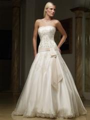 Elegant Sash Attached A-Line Skirt Lace Panel Gown