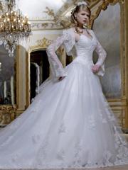 Fanciful Ball Gown Organza Lace Bridal Dress