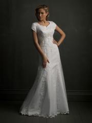 Fashionable Short Sleeved Sheath Gown of Laced Tulle Layer