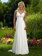 Garden Wedding Gown Chiffon Fabric Empire Dress