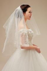 Grace Vintage Floral Tulle Veil with Beadings