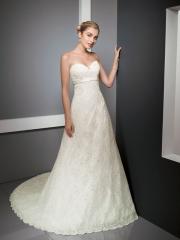 Luxurious Lace Paneled A-Line Bridal Gown with Cute Satin Bow Front