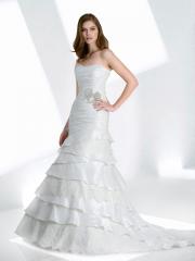 Modified A-Line Elegant Wedding Dress