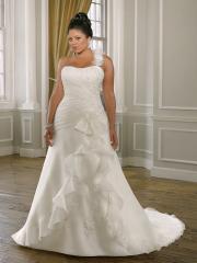 Plus-Size with A-Line Silhouette in Chapel Train Wedding Dress
